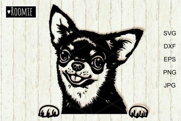 A Versatile Design Asset for Craft & Graphics Projects